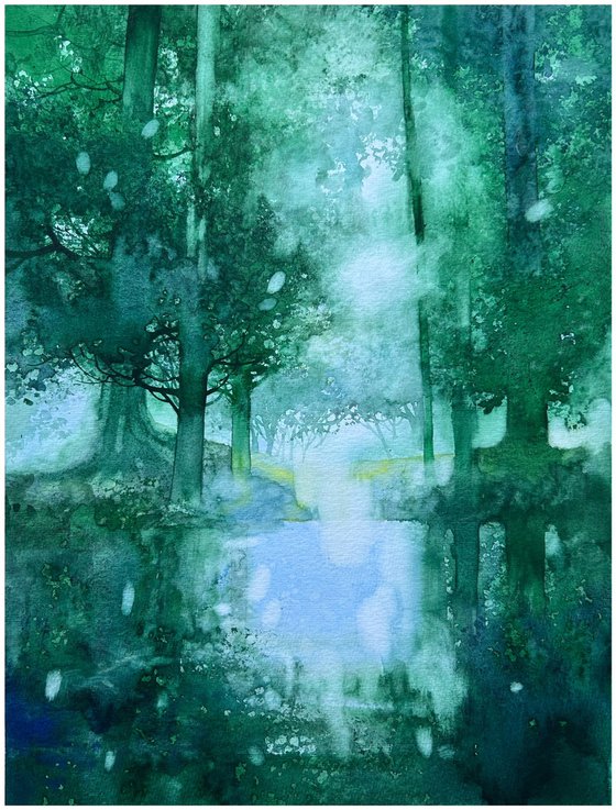 Emerald Forest Reflection