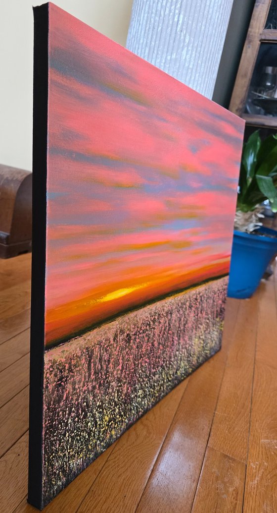 Where the Day Softens