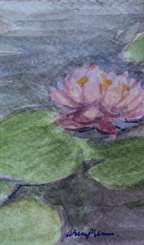 Lily 4 by Arun Prem