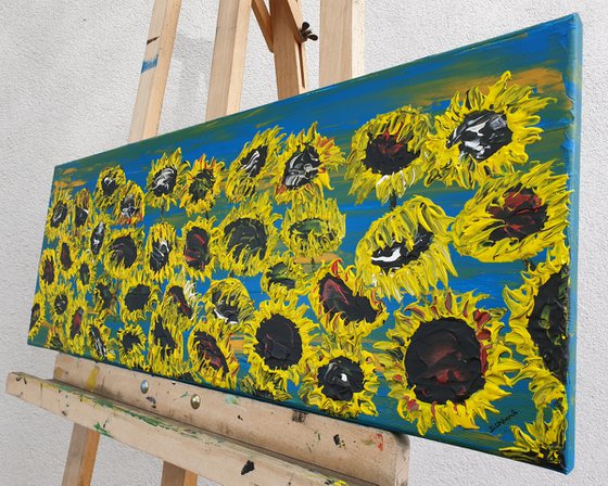 Blooming sunflowers 3