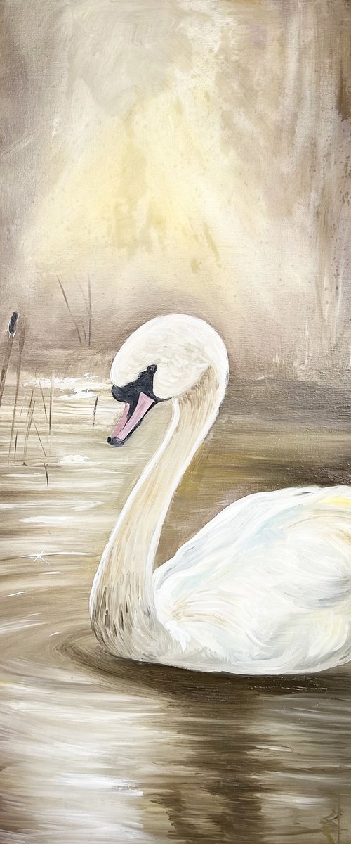 The White Swan by Angel Hakobyan