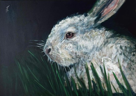 "The White Rabbit"
