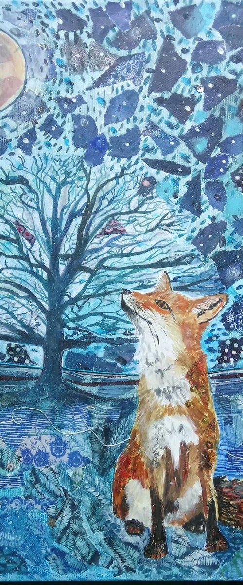 Blue moon and the Fox by Fiona Plaisted