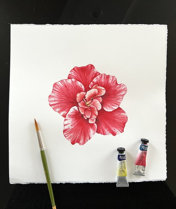 Red azalea. Original watercolor artwork.