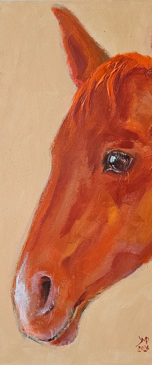 Orange horse profile by Ksenia June