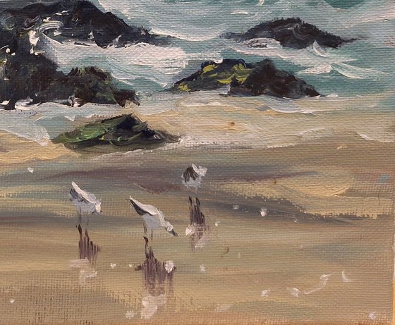 Seagulls On The Shore