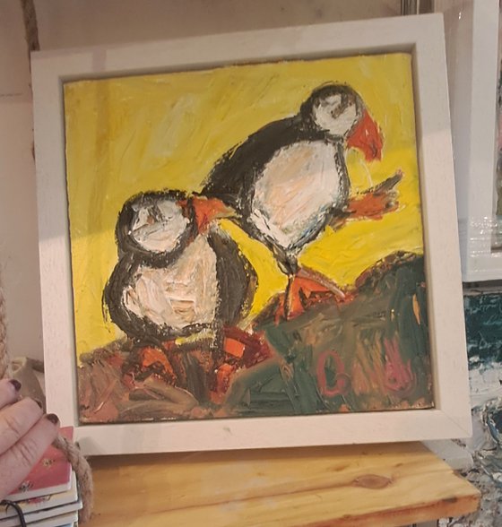 Puffins Dancing