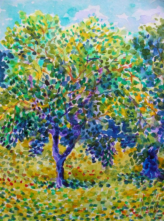 Olive garden #4