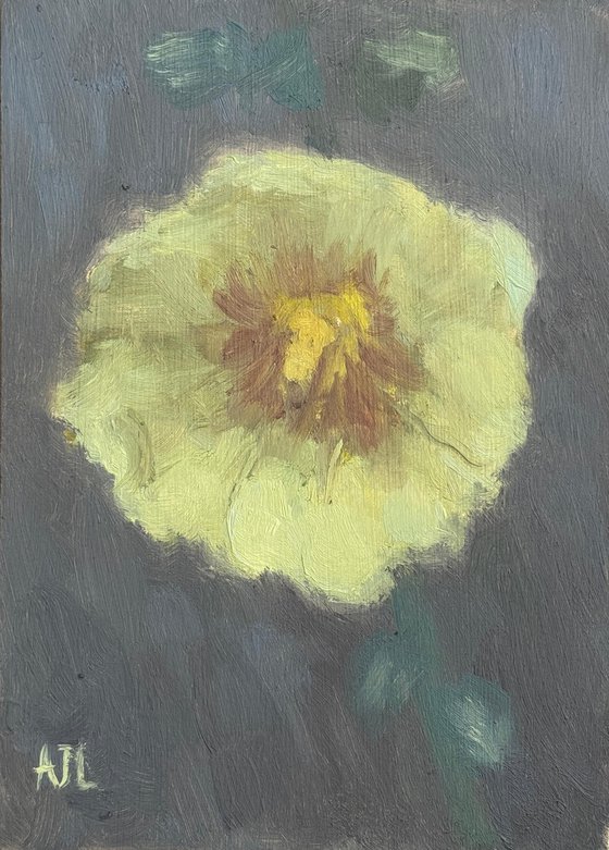 Yellow Hollyhock Still Life