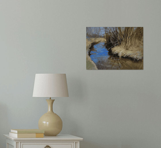 Dry Grass over the river