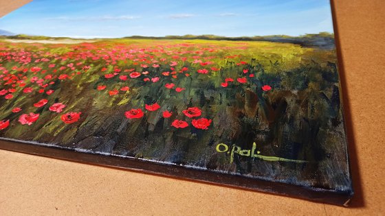 Poppies near the sea