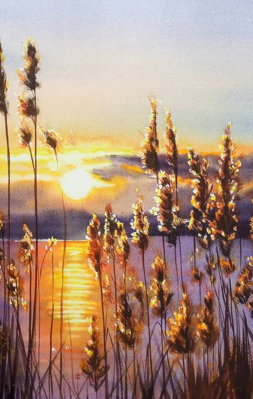 Beach sunset thru Tall Grass - by Olga Beliaeva Watercolour