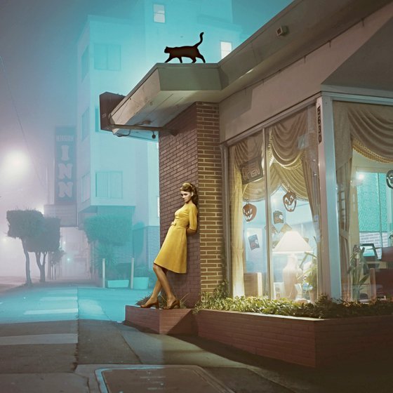 Girl and cat in the Colorful Night