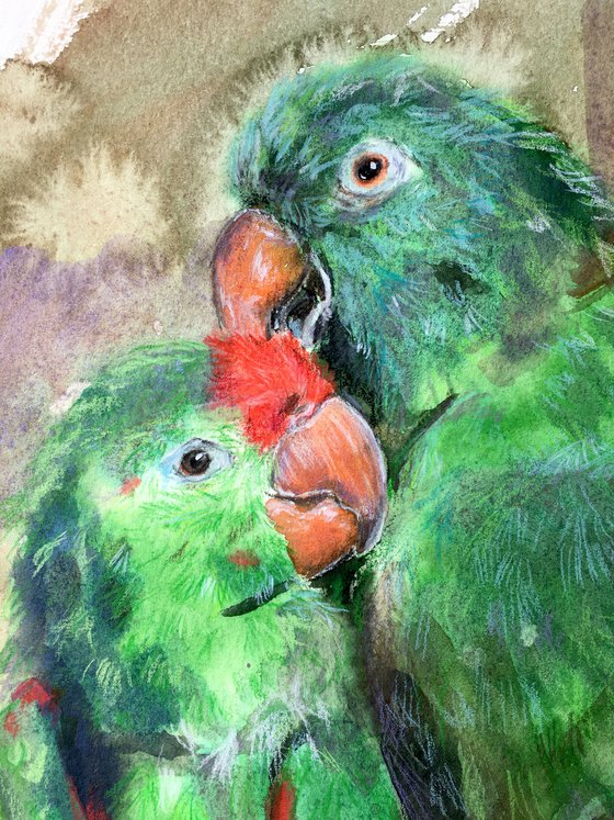 PARROTS GREEN