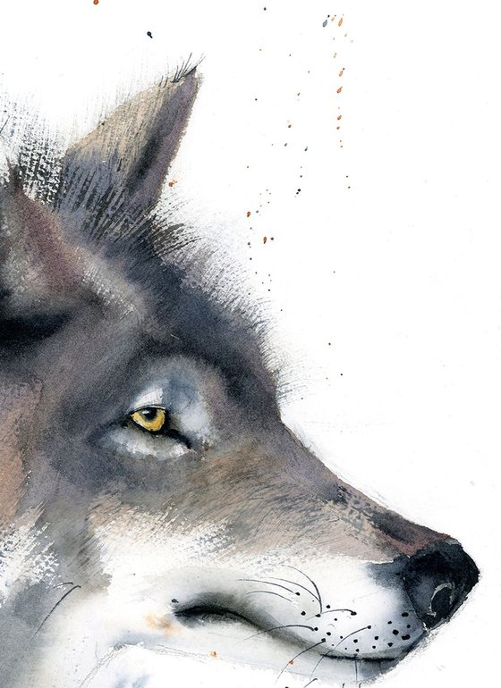 Wolf portrait