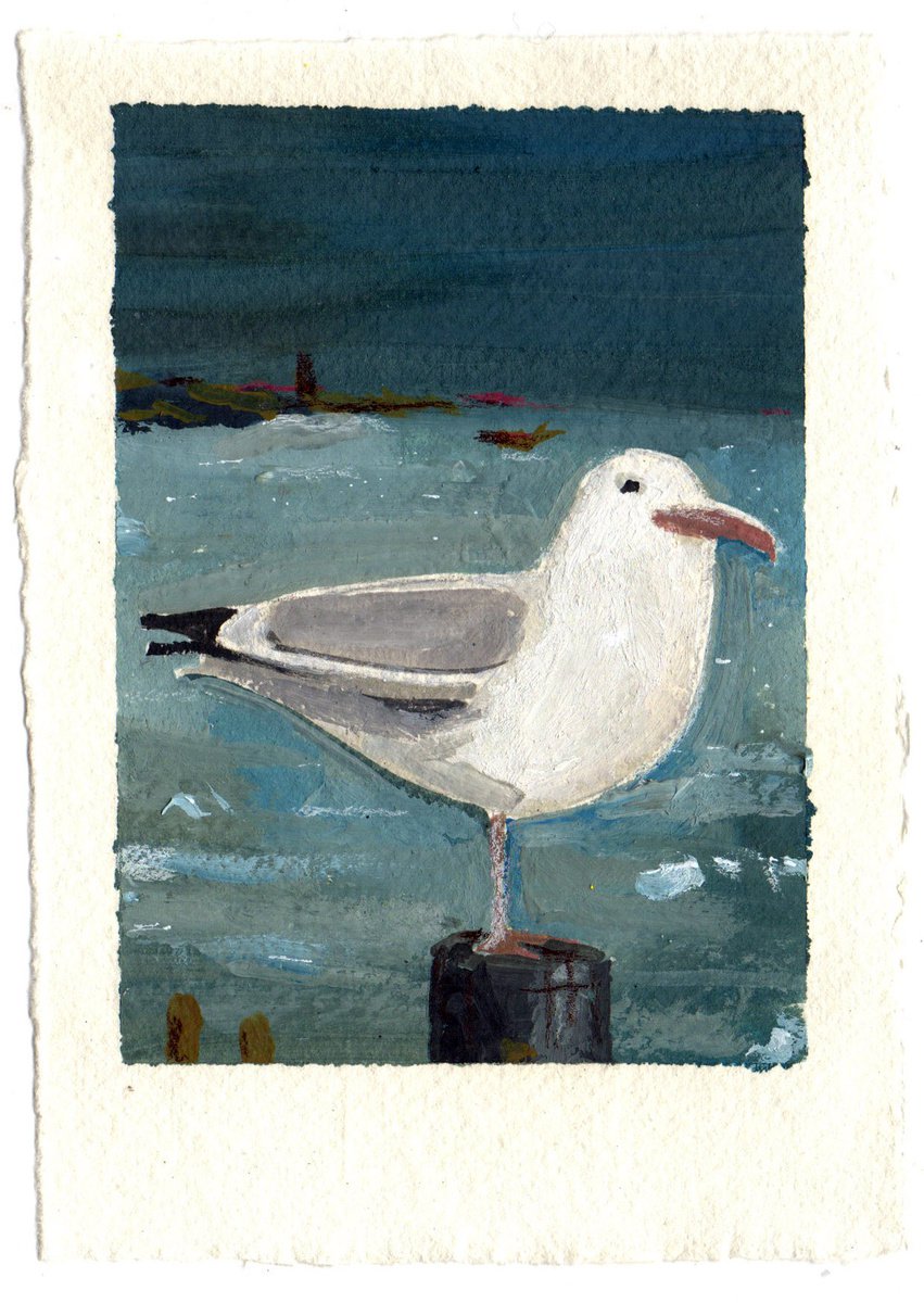 Gull by Mat JS Moore
