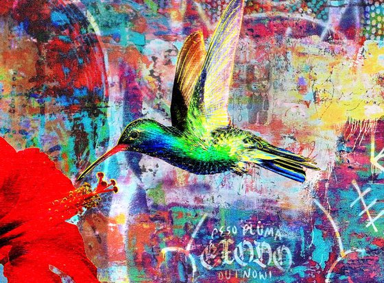 Street Art Hummingbird