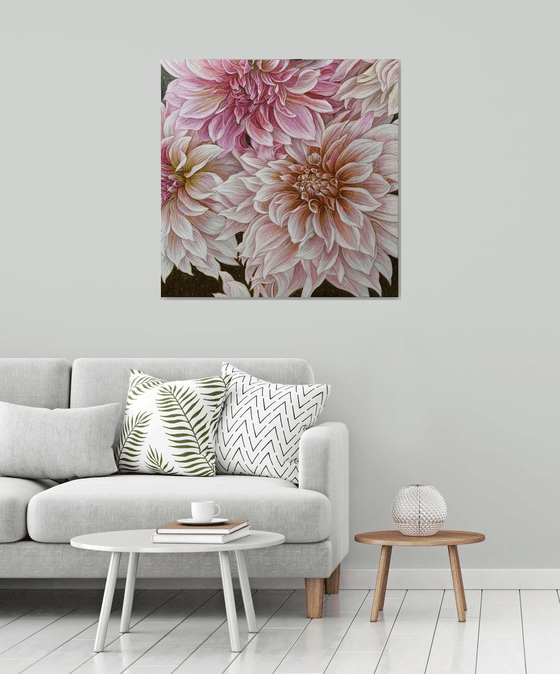 Soft Symphony of Dahlias