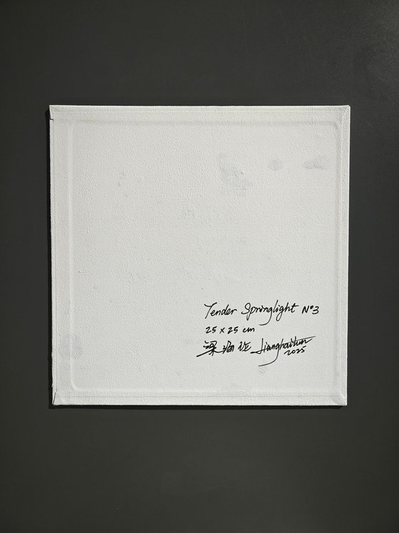 Tender Springlight N°3