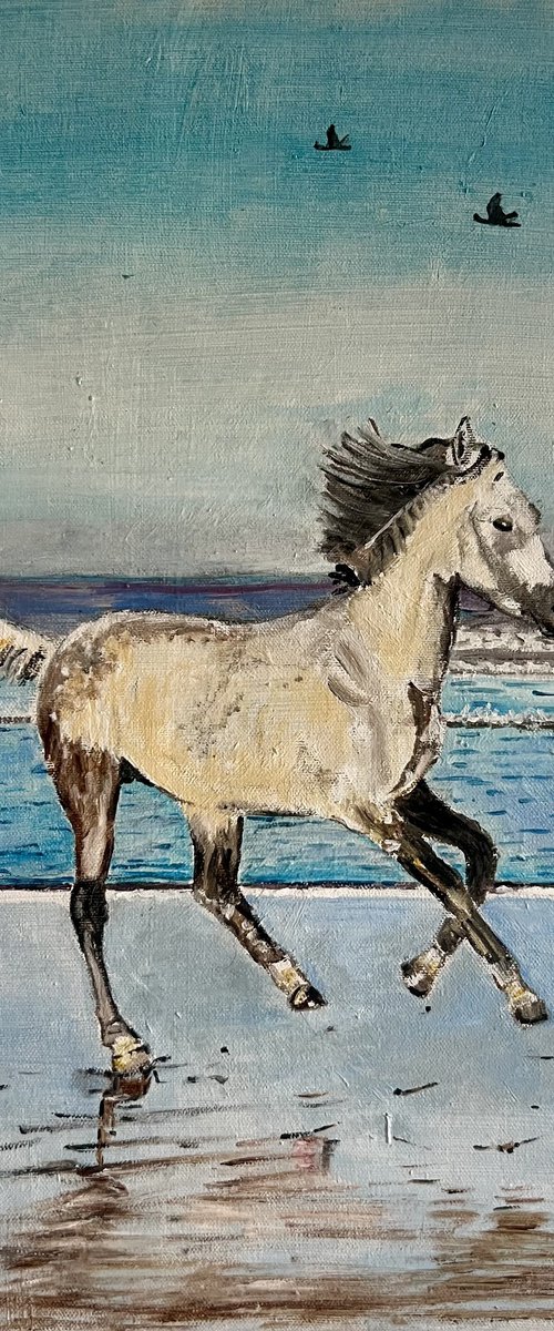 White horse and sea by Isabelle Lucas