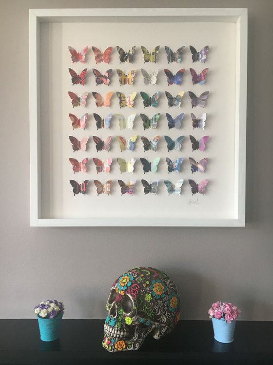 Rainbow Wings  (Butterfly Artwork)