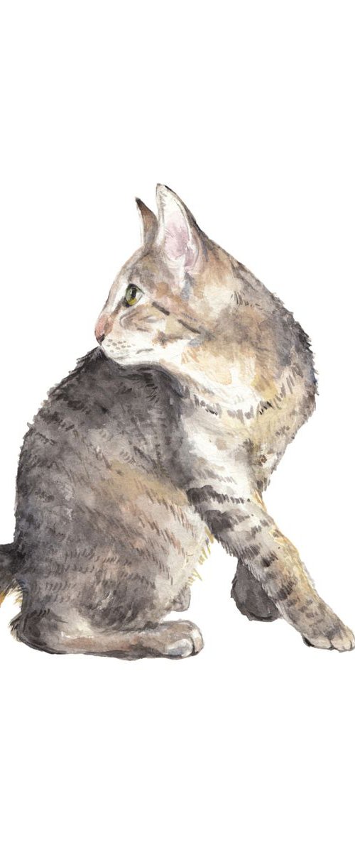 Manx Cat Original Watercolor by Lauren Rogoff