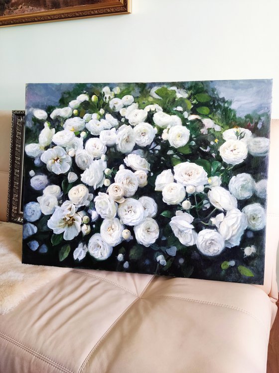 White Roses