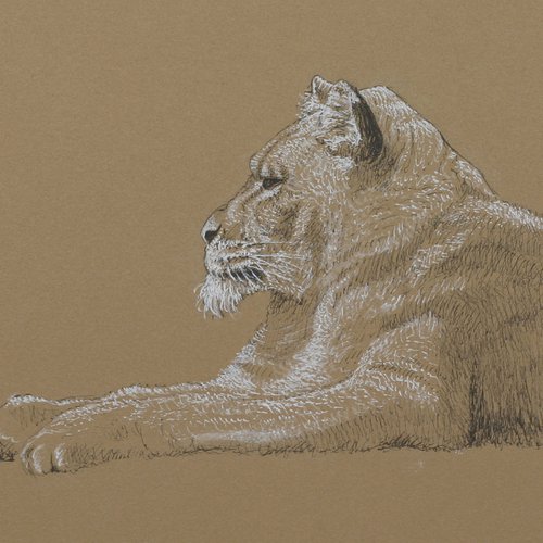 The Old Lioness by John Fleck