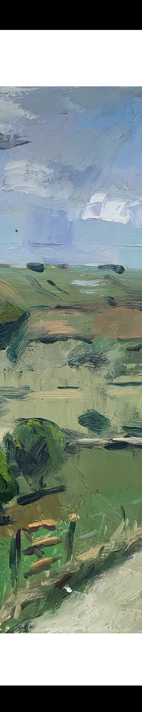 The Downs near Steyning. by Andre Pallat