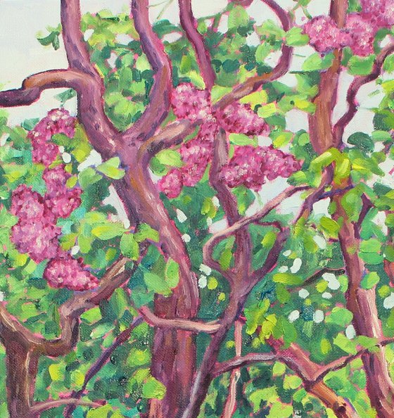 Lilac and Beehives