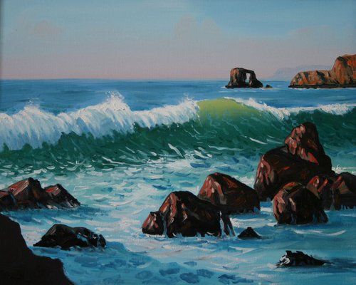 Northern California Coast by John Begley