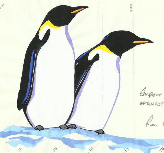 Birds of Antarctica: Emperor Penguin