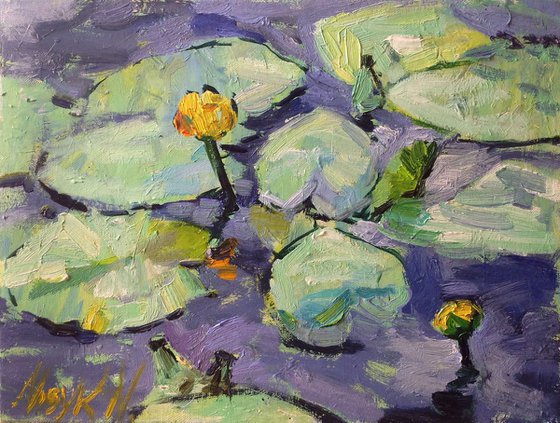 Rainy day. Water lily.  Pond  light oil painting  river original oil painting