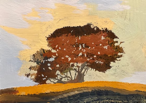 Lone Tree