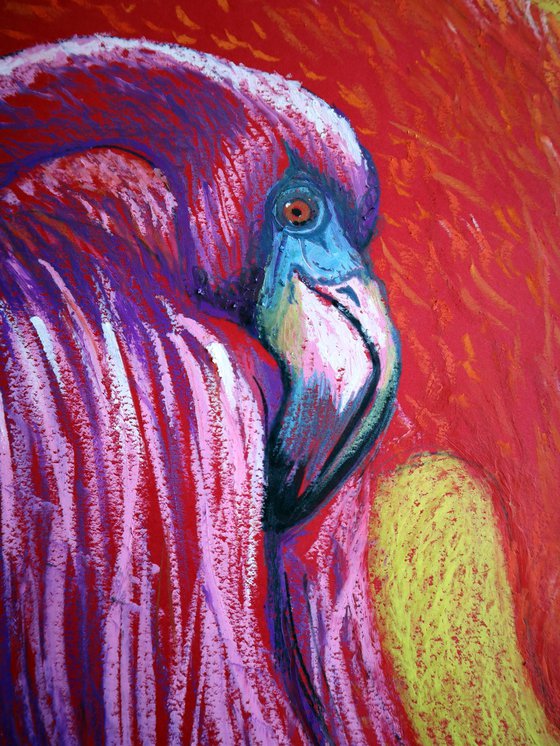 Flamingo on Gold -Blazing Gradient