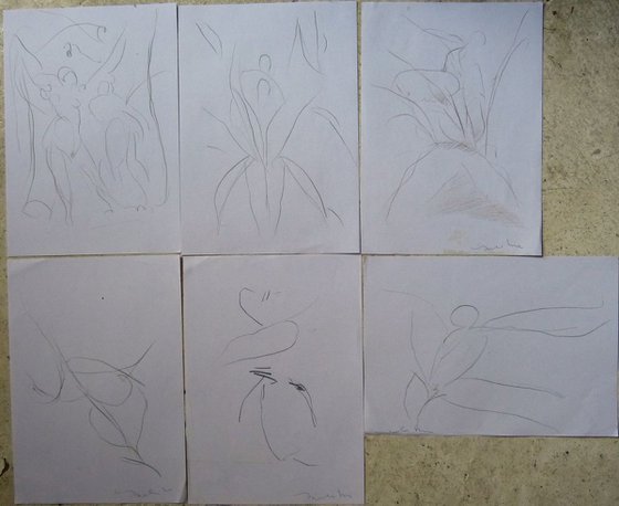 Six sketches - Vegetation, 21x29 cm - affordable & AF exclusive !