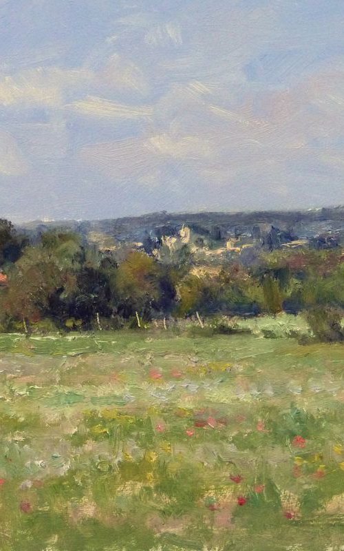 Countryside near Joucas (Luberon) by Pascal Giroud