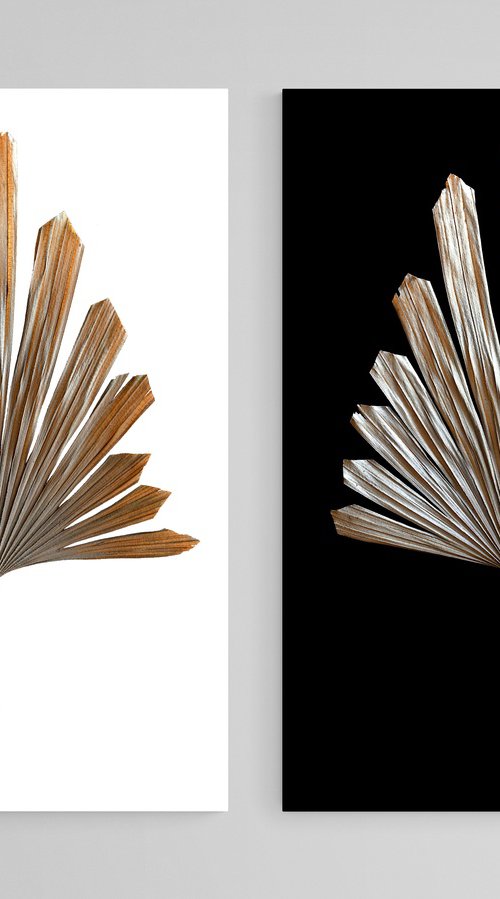 Dried Palm Leaves by Nadia Culph