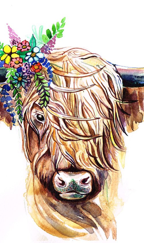 Highland Moo Cow with Spring Flowers by Diana Aleksanian