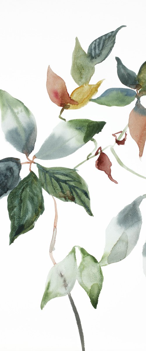 The Woods No. 109 by Elizabeth Becker