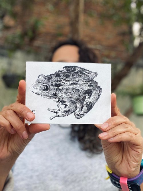 Frog by Mariana Renteria Garnica