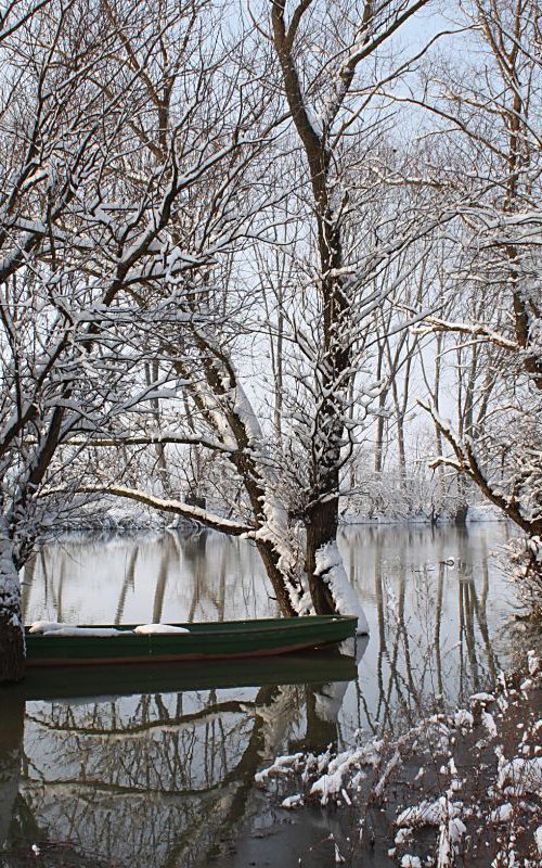 Winter idyll by Sonja  Čvorović