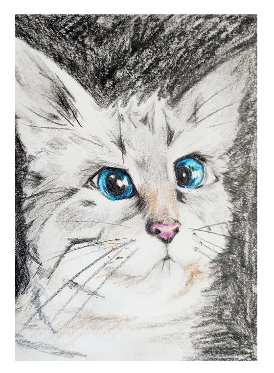 Funny cat. Pencil drawing by Svetlana Vorobyeva