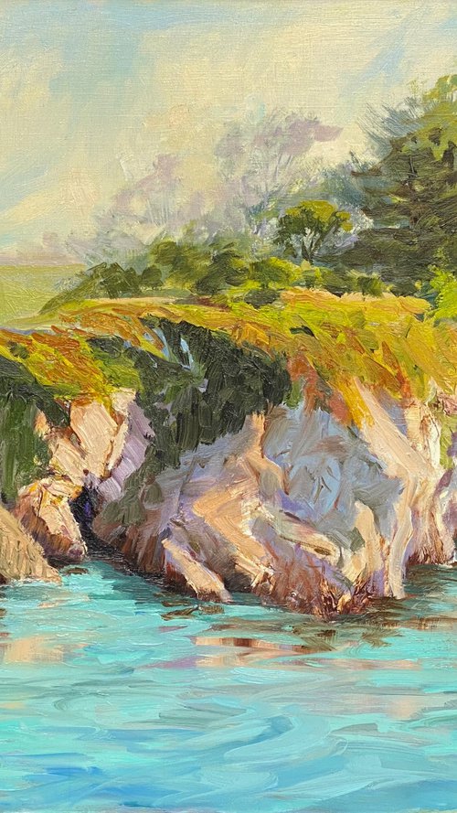 Turquoise Waters Of Point Lobos by Tatyana Fogarty