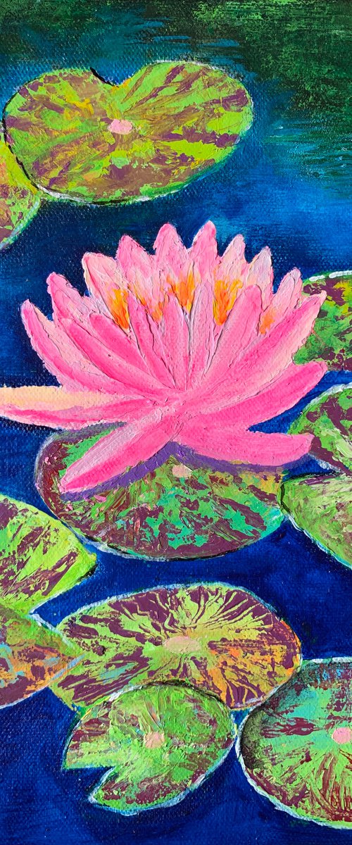 Pink water lily! Water lily pond! Textured art by Amita Dand