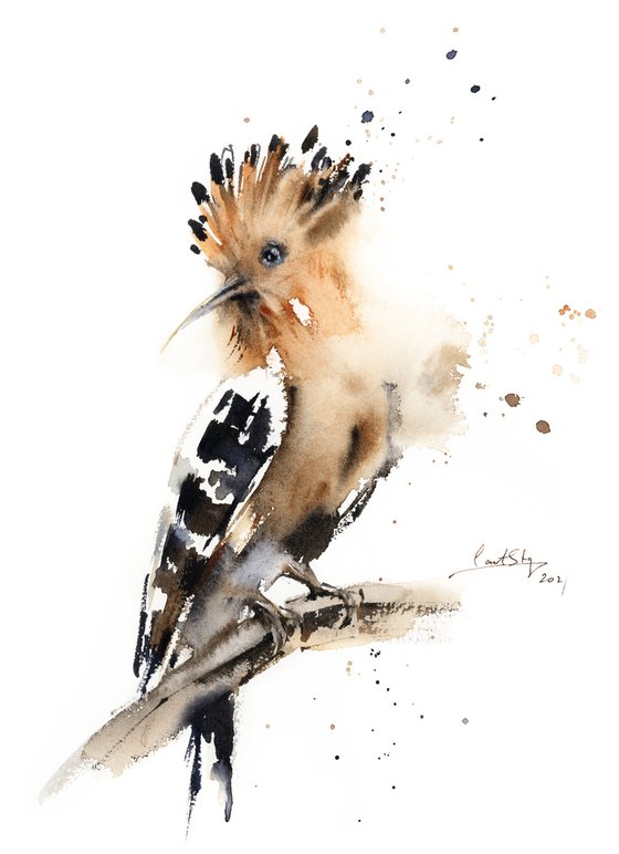 Hoopoe Bird Watercolor Painting