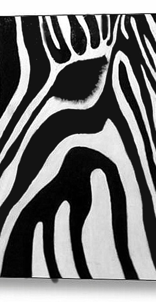 Zebra 13 by Jane Biven