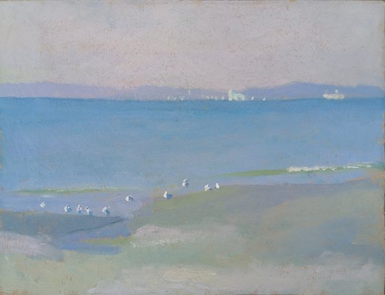 Seagulls at Dawn