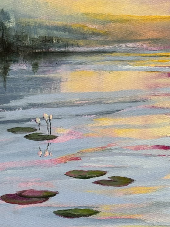 Water Lilies Land 1