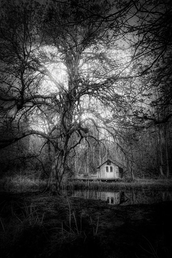 The Hut and the Tree